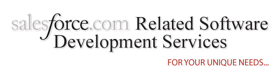 SalesForce Related Software Development Services