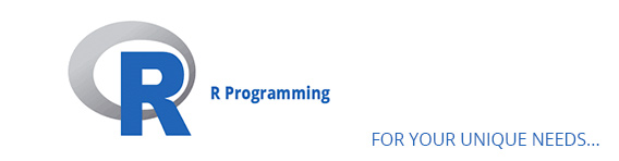 Software programming Services to process your data for you with R Programming